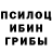 Галлюциногенные грибы мухоморы Edward Oswald