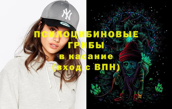 крисы Каменногорск