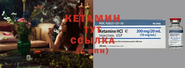 крисы Каменногорск