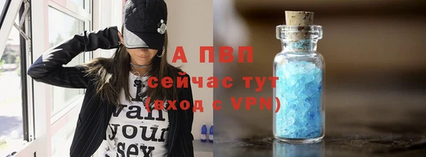крисы Каменногорск