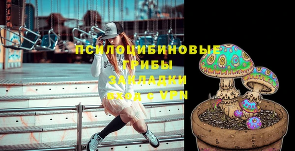 крисы Каменногорск