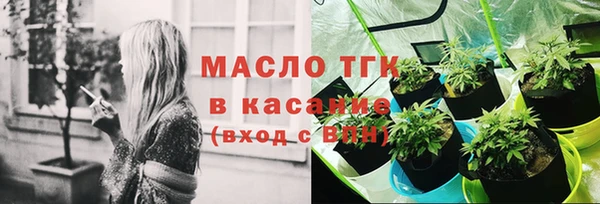крисы Каменногорск