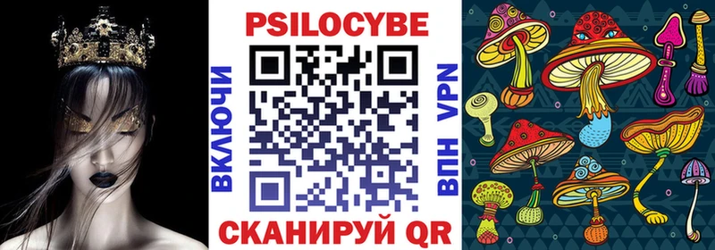 Галлюциногенные грибы Psilocybe  Купить где  Карачаевск 